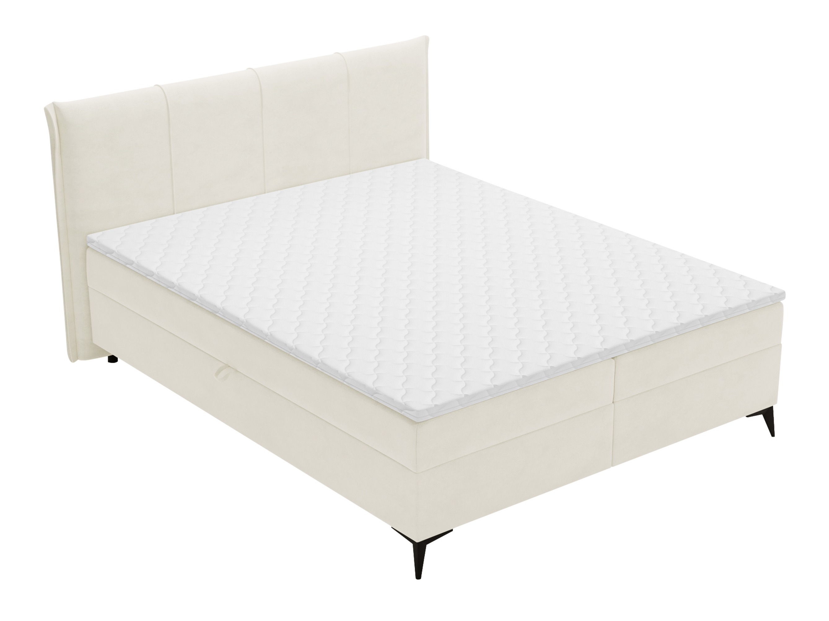 Continental lova Numeritas (Velo 621)