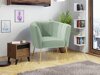 Fotelis Orem 112 (Magic Velvet 2227)