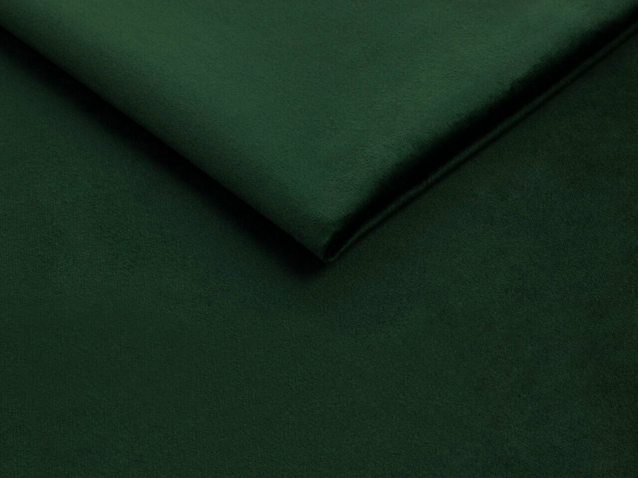 Lova Baltimore 203 (Fresh 13)