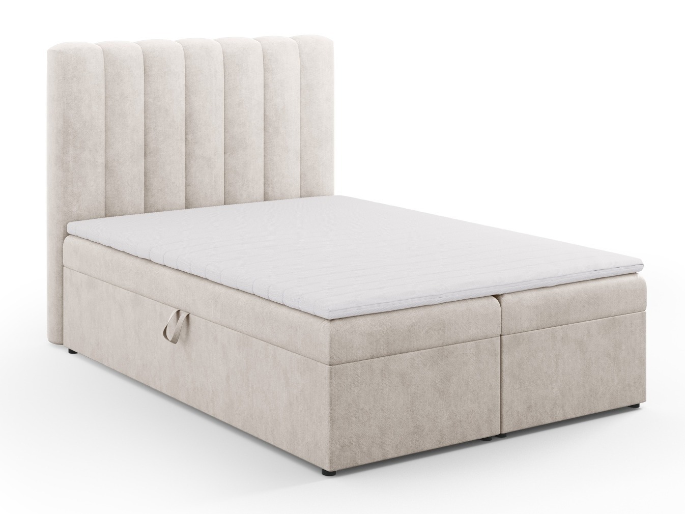 Continental lova Beckley 113 (Moly 04)