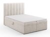 Continental lova Beckley 113 (Moly 04)