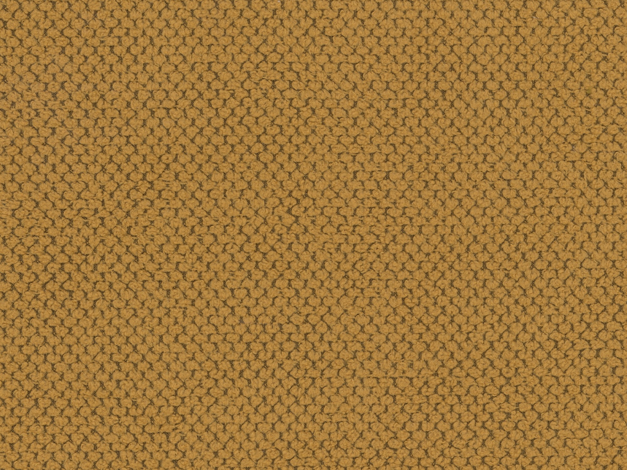 Sofa lova Franklin 119 (Curio 48)
