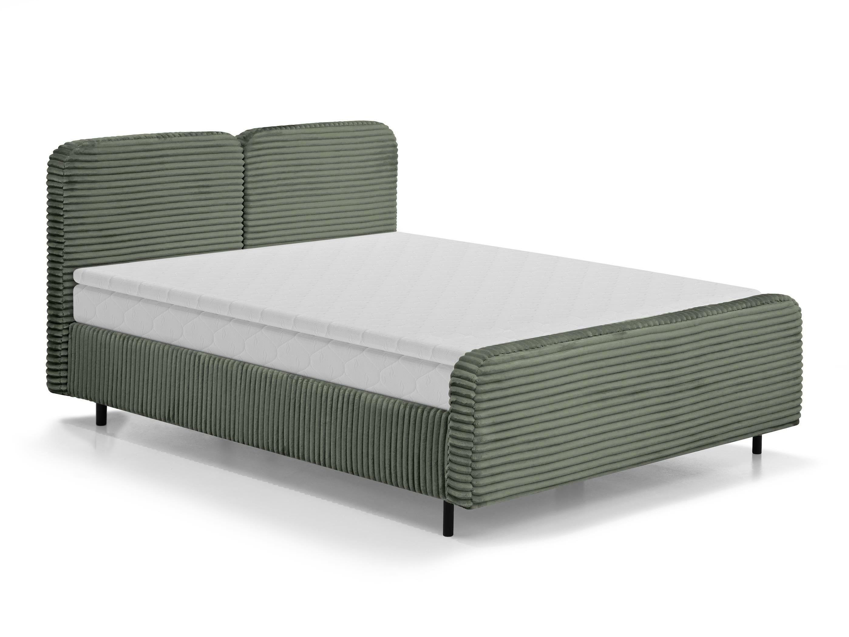Continental lova Margate 130 (Tilia 37)