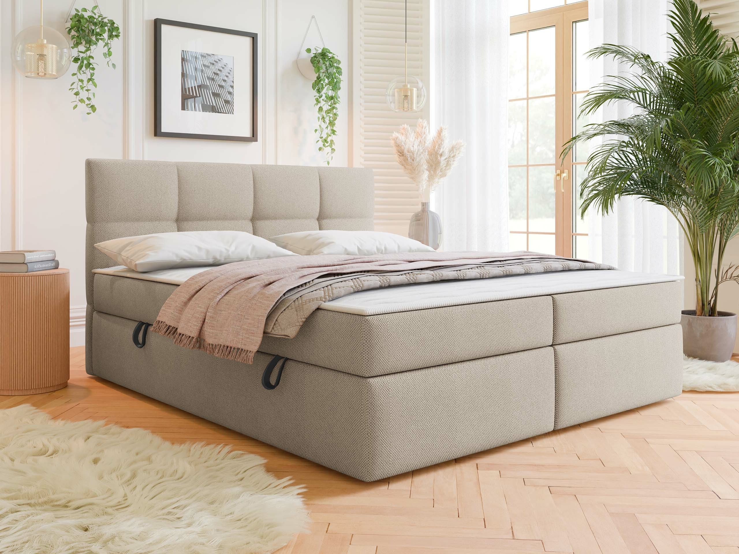 Continental lova ComfiDream 187 (Curio 11)