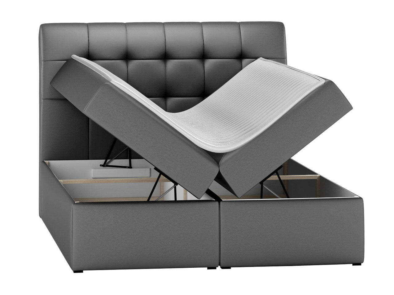 Continental lova Campania (Soft 011)