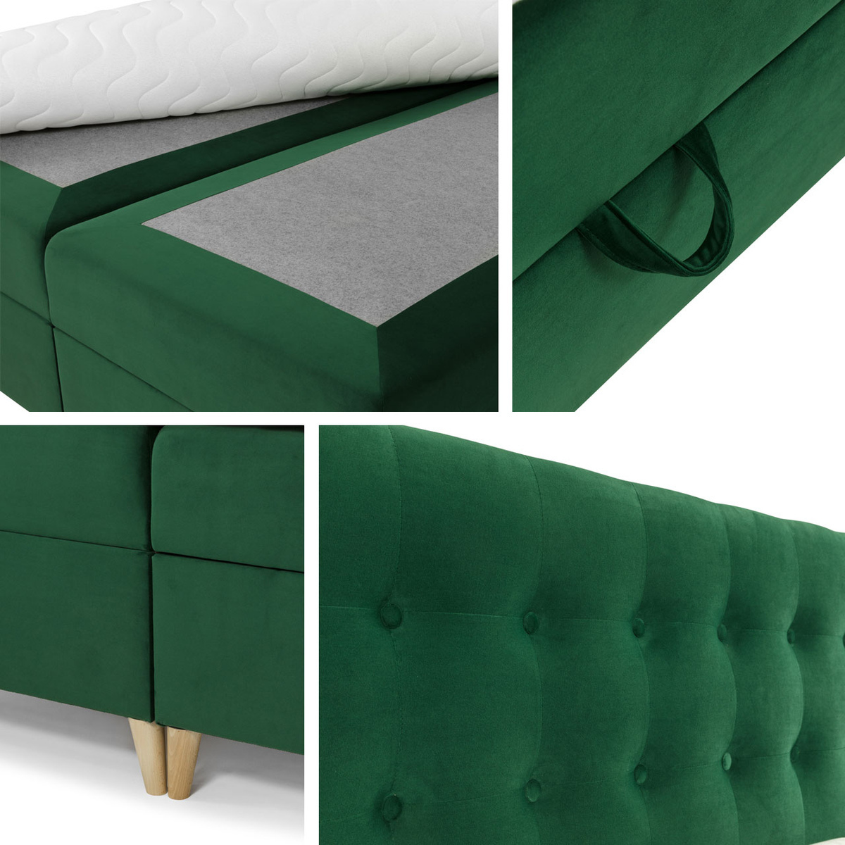 Continental lova Caseus (Magic Velvet 2216)