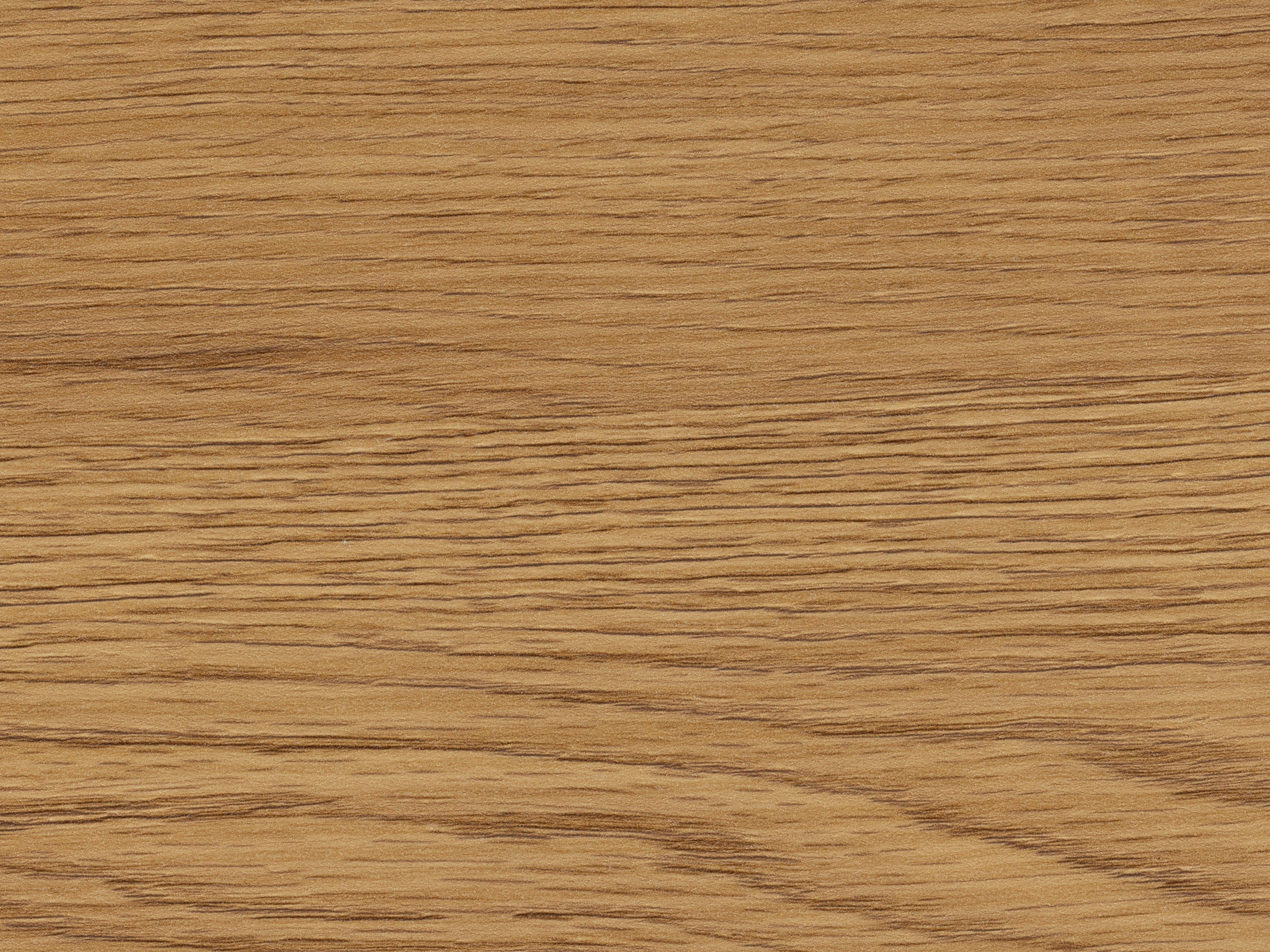 Šoninių staliukų komplektas Norsica 461 (Laukinis ąžuolas + Juoda)