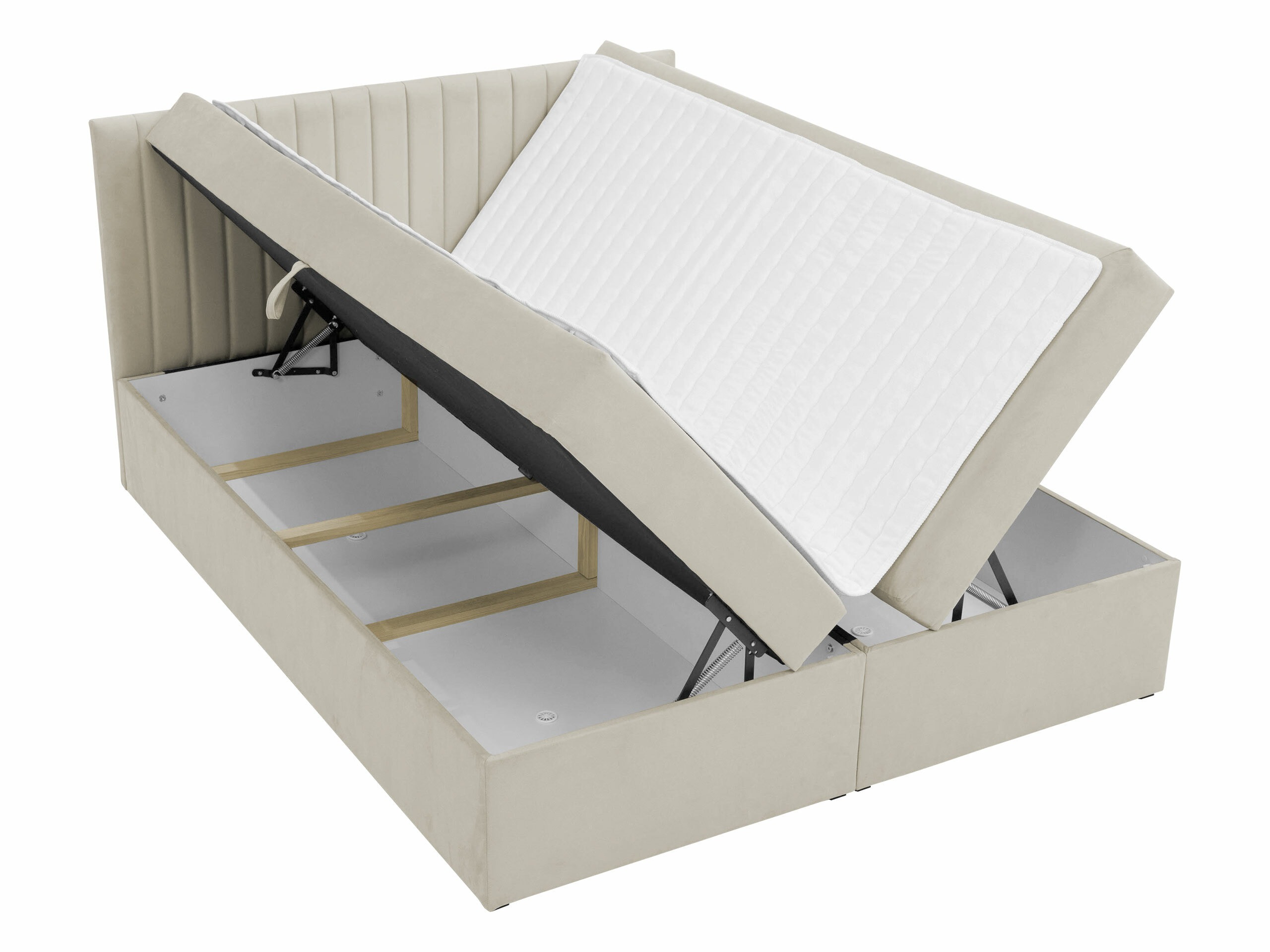 Continental lova Comfivo 481 (Manila 09)