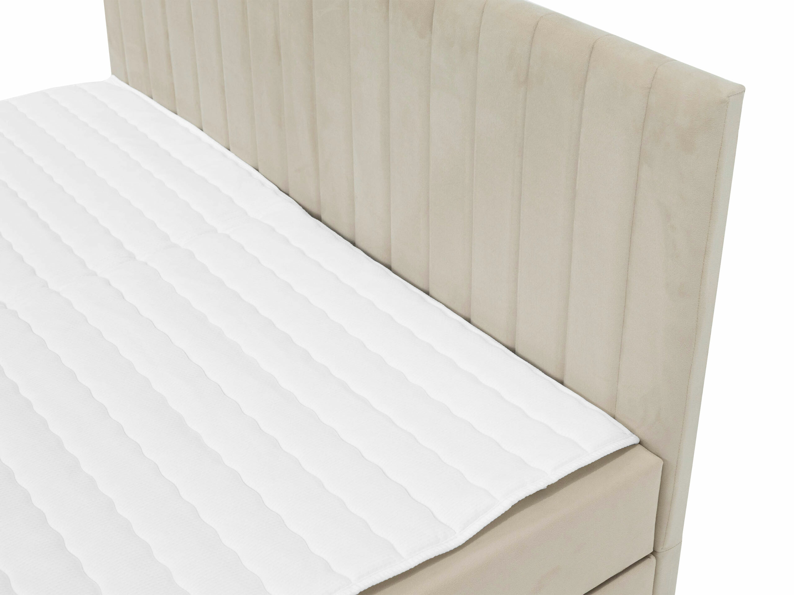 Continental lova Comfivo 481 (Manila 26)