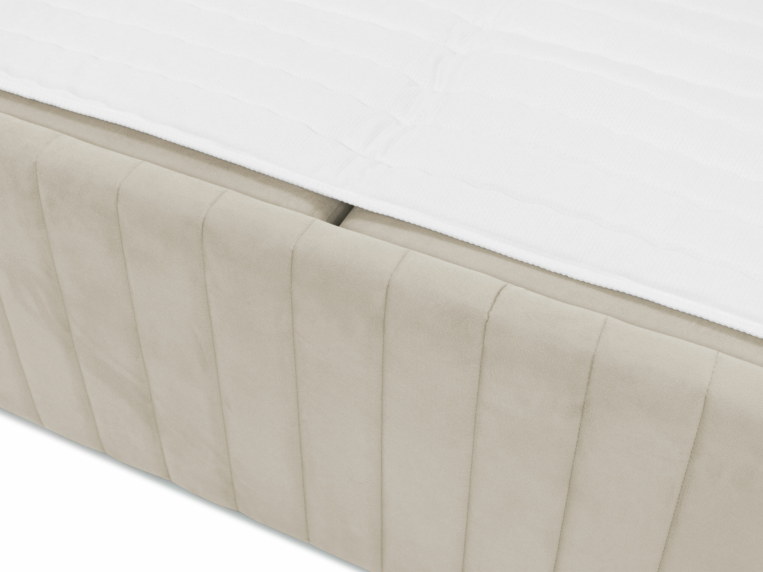 Continental lova Comfivo Apis II (Polo 872)