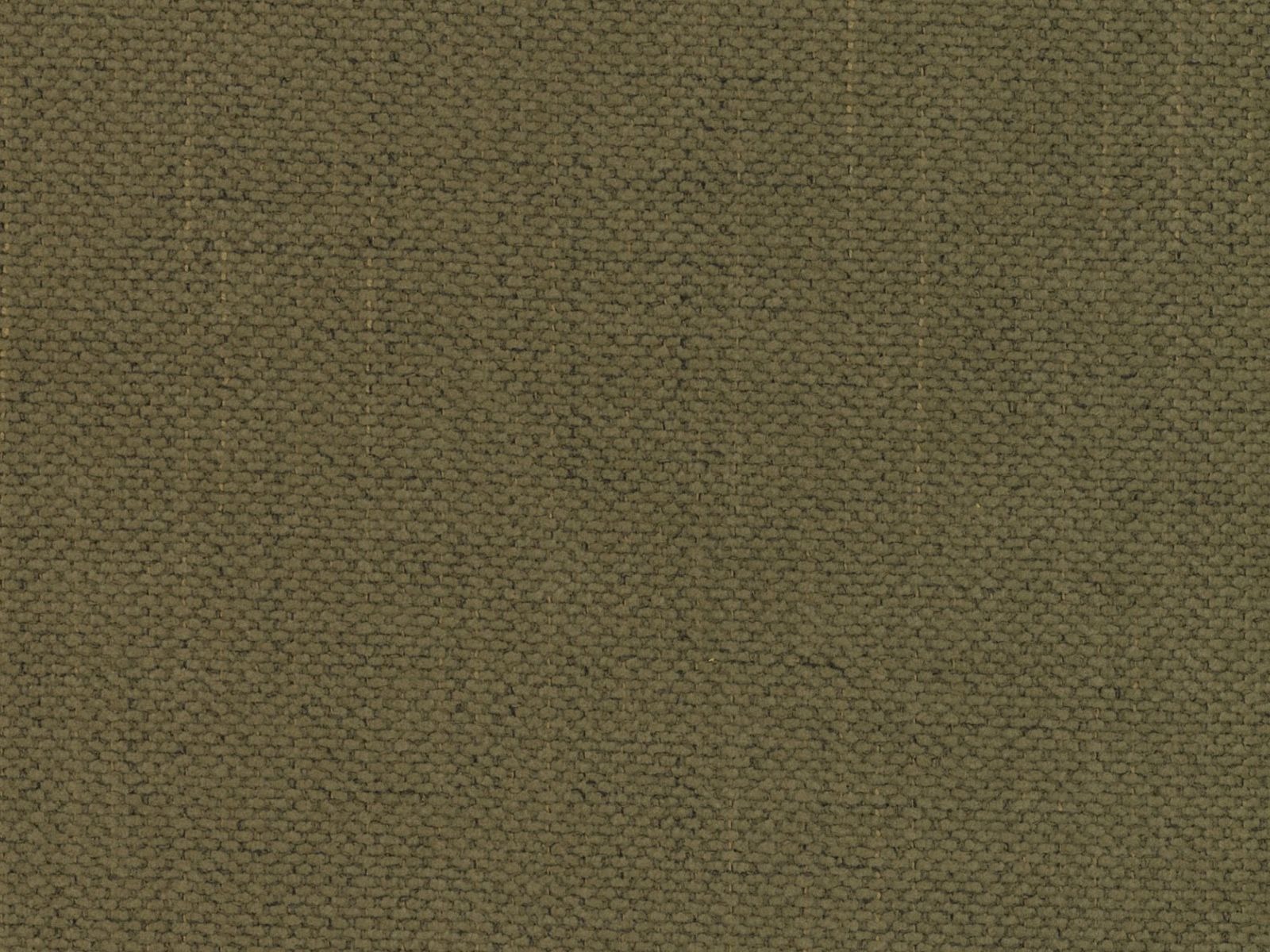 Lova Beckley 205 (Moly 38)