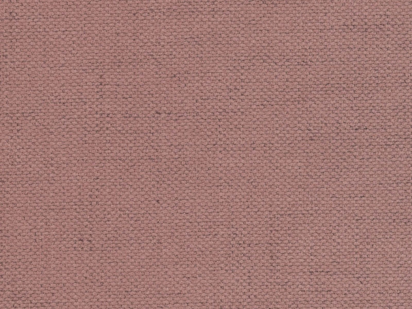 Lova Beckley 205 (Moly 63)