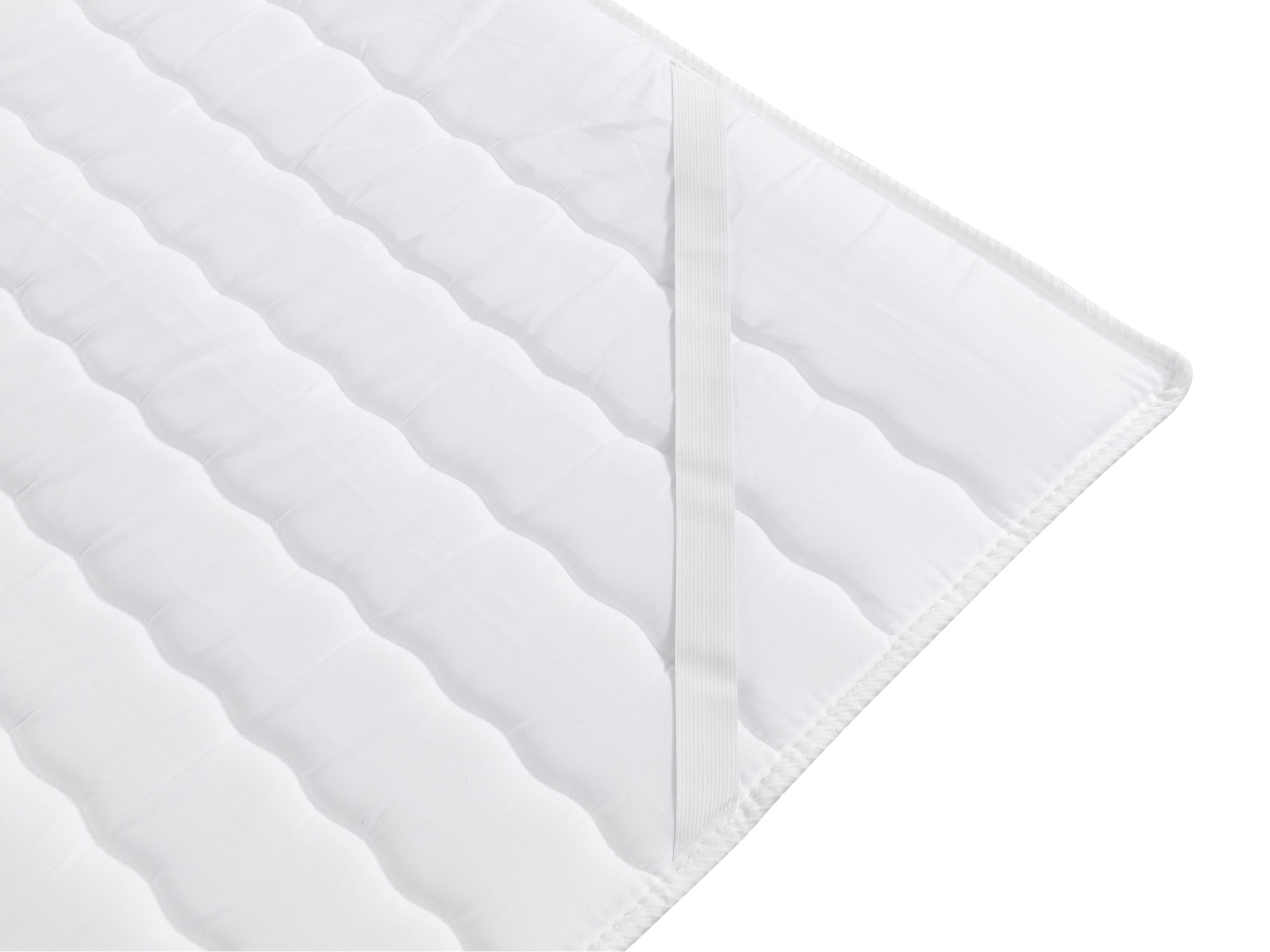 Continental lova Stylus (Magic Velvet 2239)