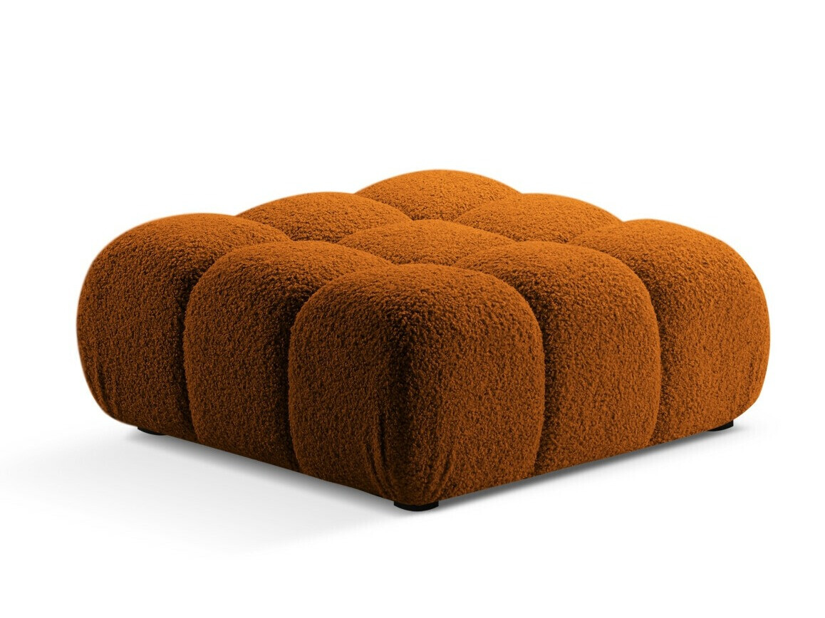 Pufas Caltenu 109 (Rolf 10)