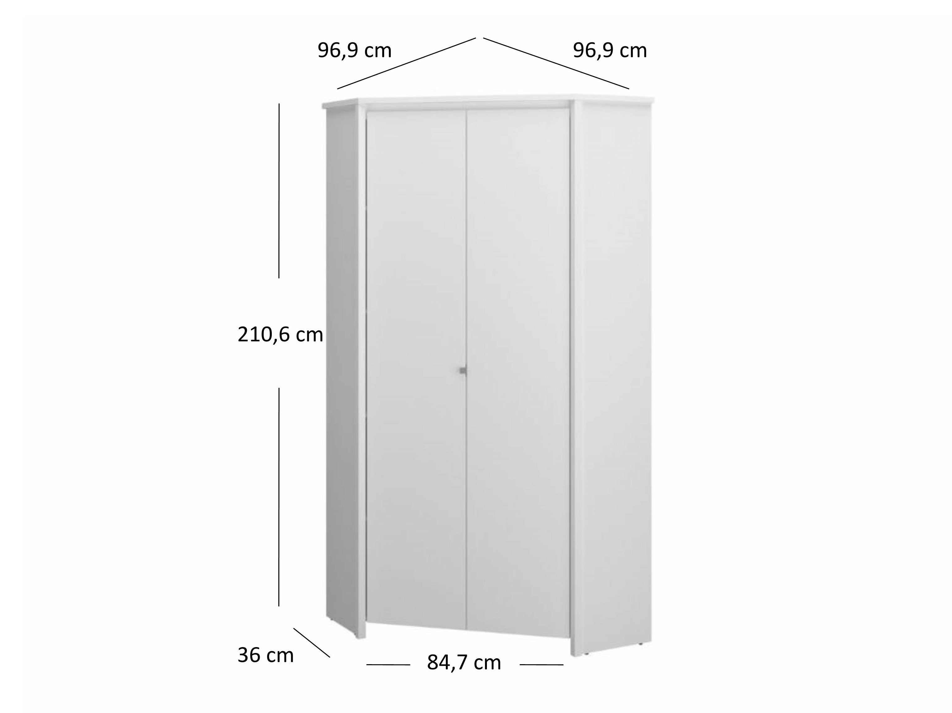 Kampinė spinta Lomleve 113