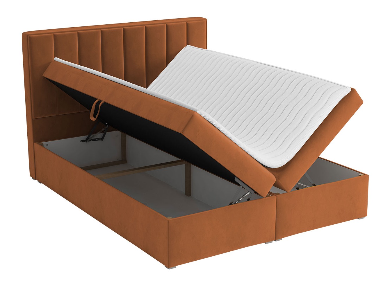 Continental lova Pomona 116 (Magic velvetas 2216)