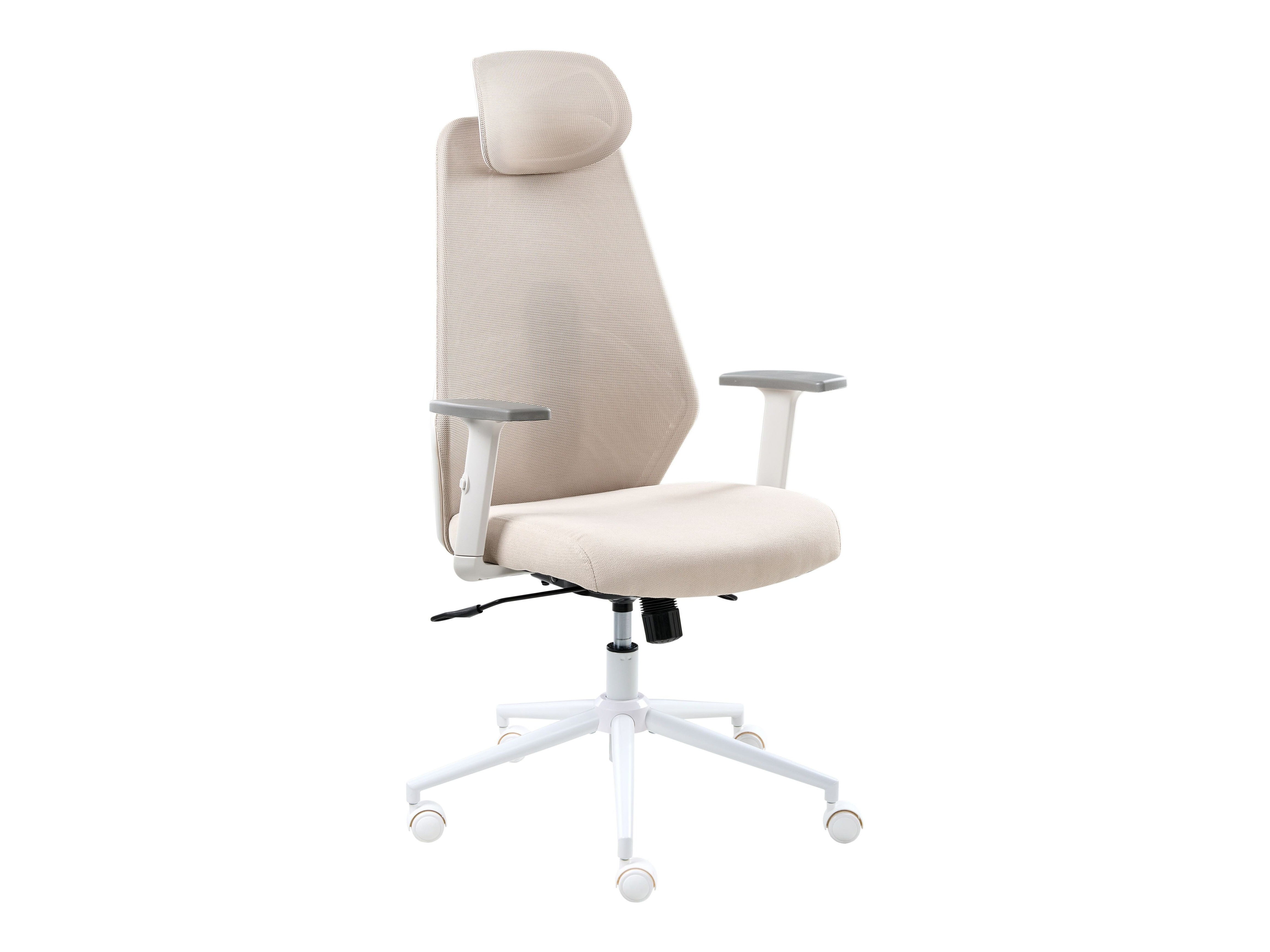 Biuro kėdė Berwyn 2967 (Smėlinė)