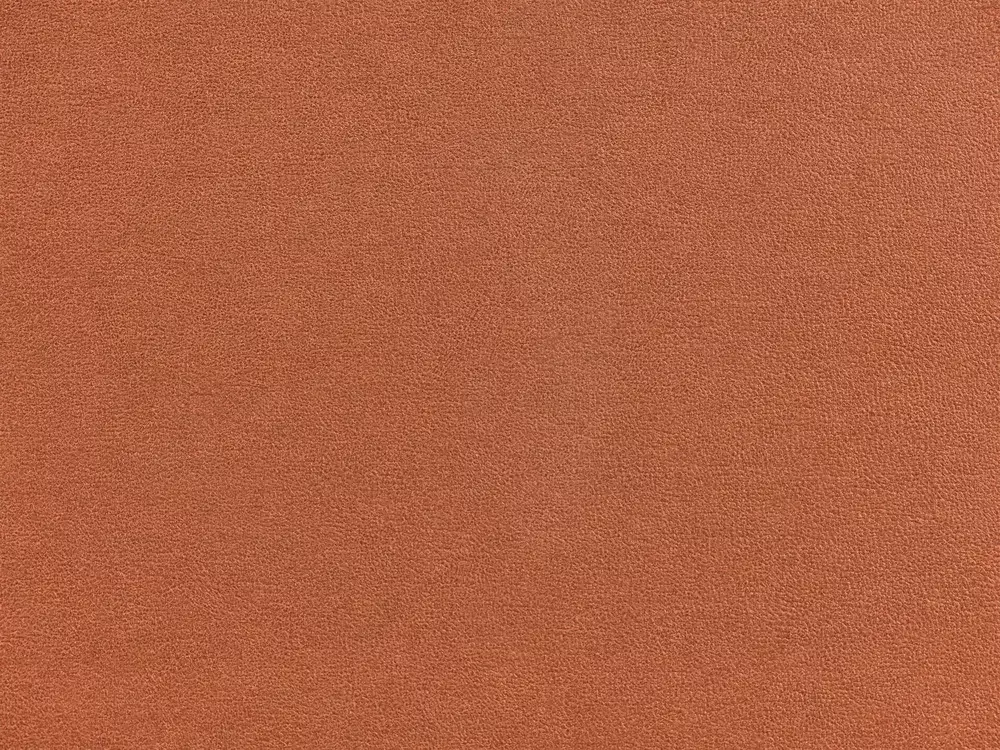 Minkštų baldų komplektas Berwyn 3085 (Balta + Ruda)