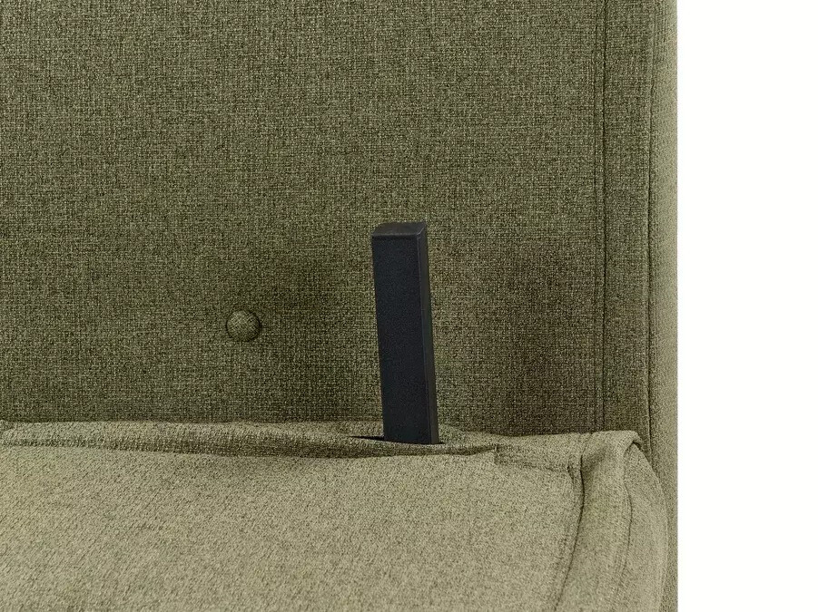 Sofa lova Berwyn 3158 (Žalia)