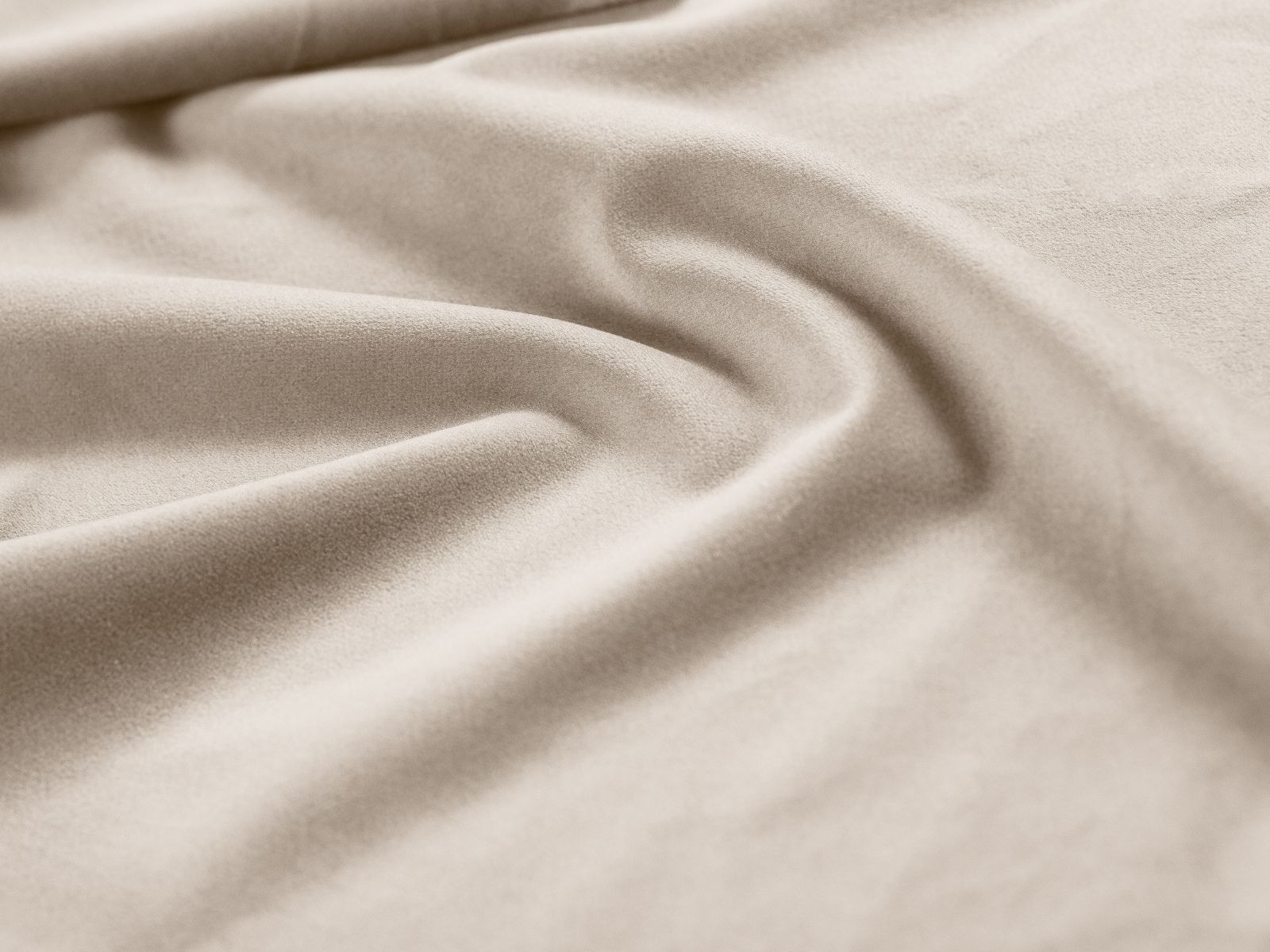 Continental lova Martinez 129 (Magic Velvet 2256)