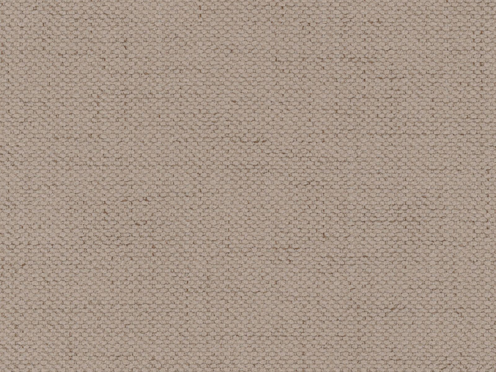 Lova Beckley 336 (Moly 11)