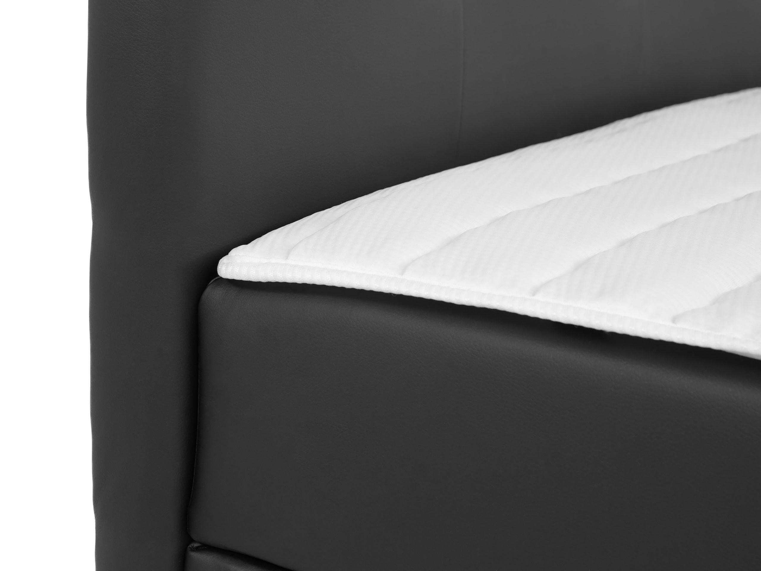 Continental lova Comfivo Osculum I (Polo 894)
