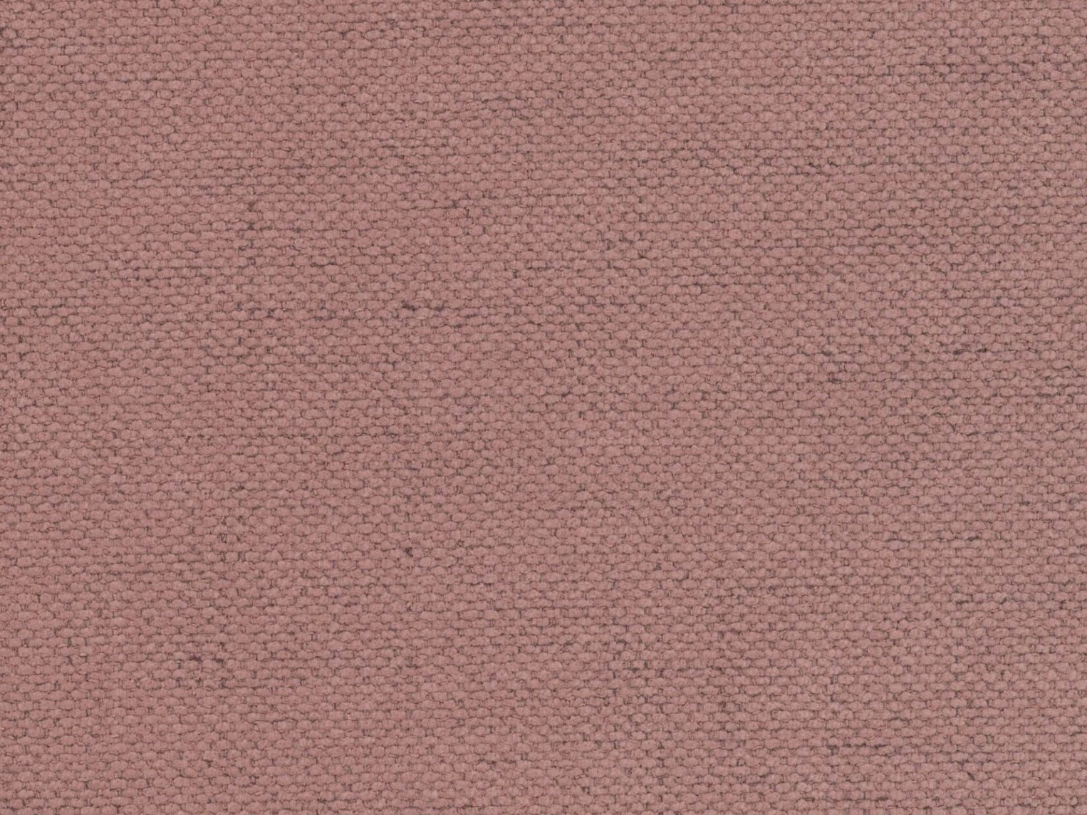 Lova Cirleve 113 (Moly 63)