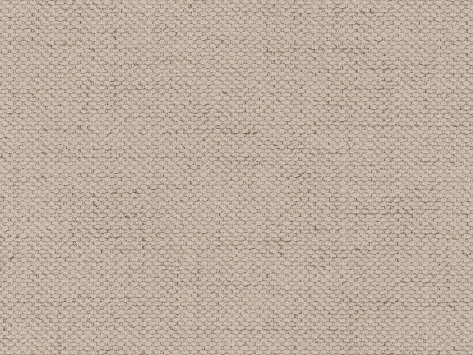 Lova Beckley 346 (Moly 11)