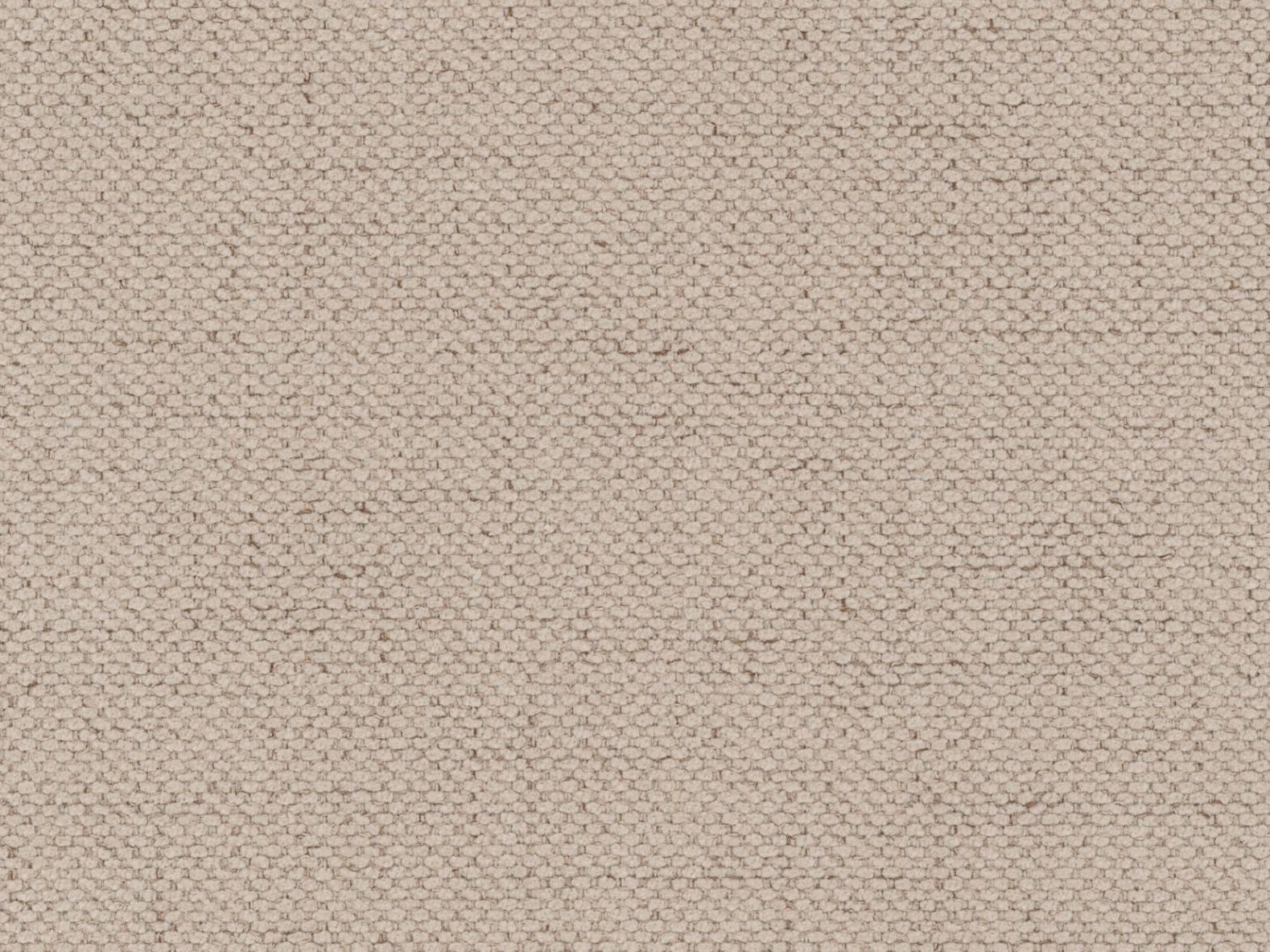 Lova Beckley 346 (Moly 11)