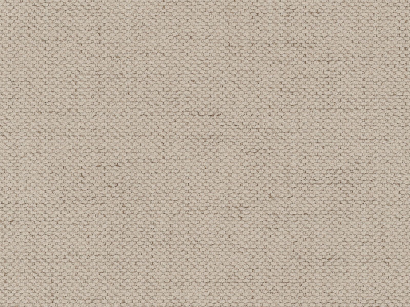 Lova Beckley 347 (Moly 11)
