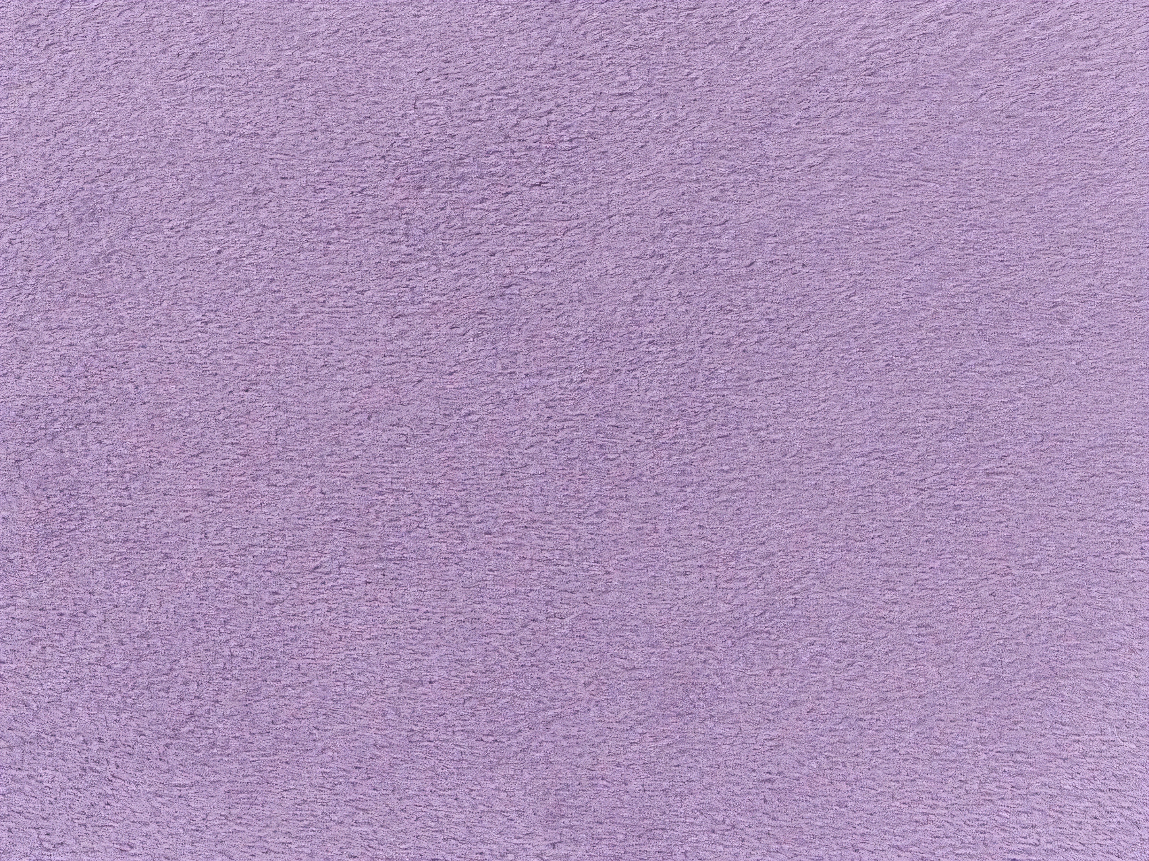 Lova Berwyn 3314 (Violetinė)