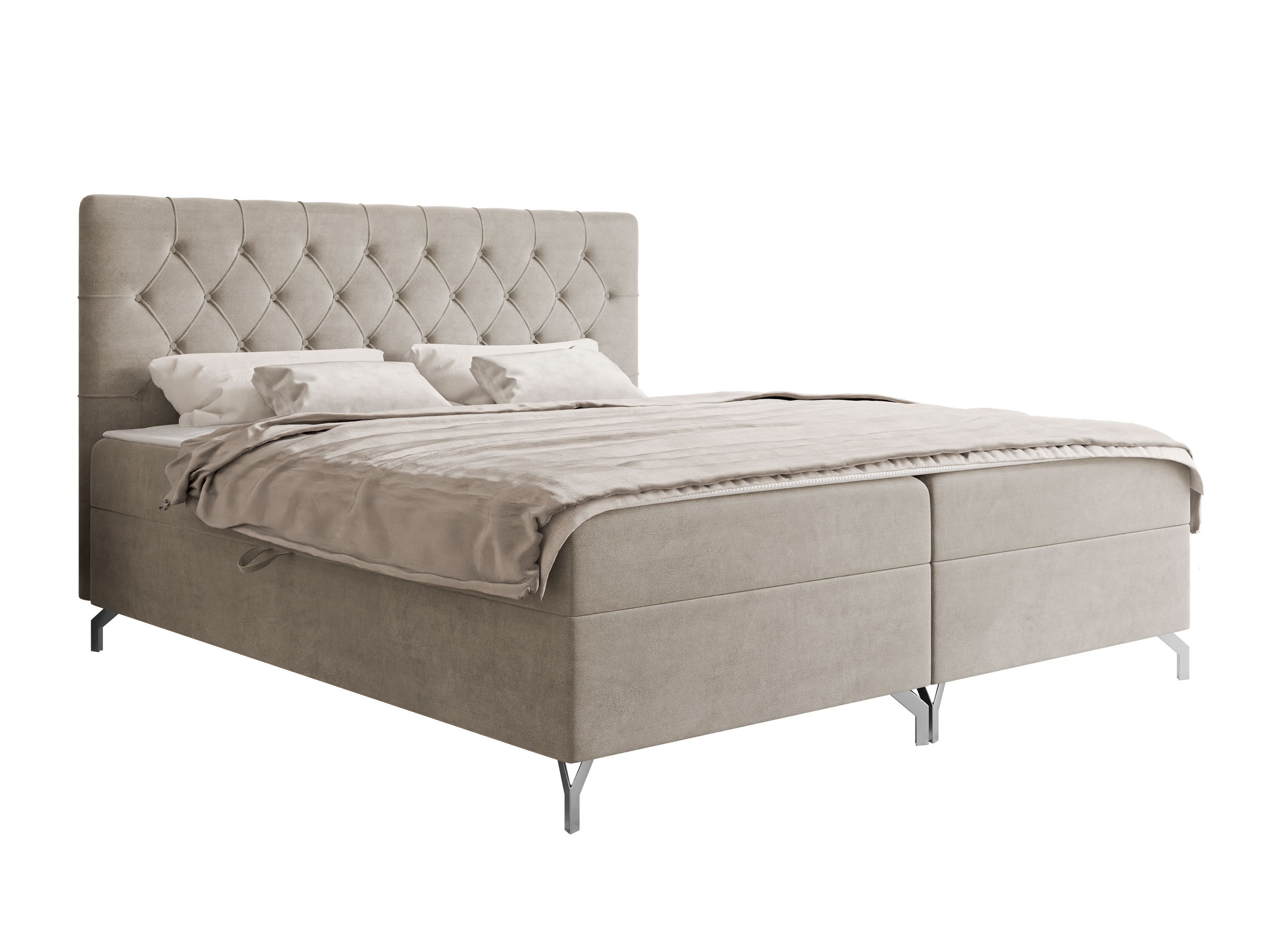 Continental lova Baltimore 204 (Fresh 01)