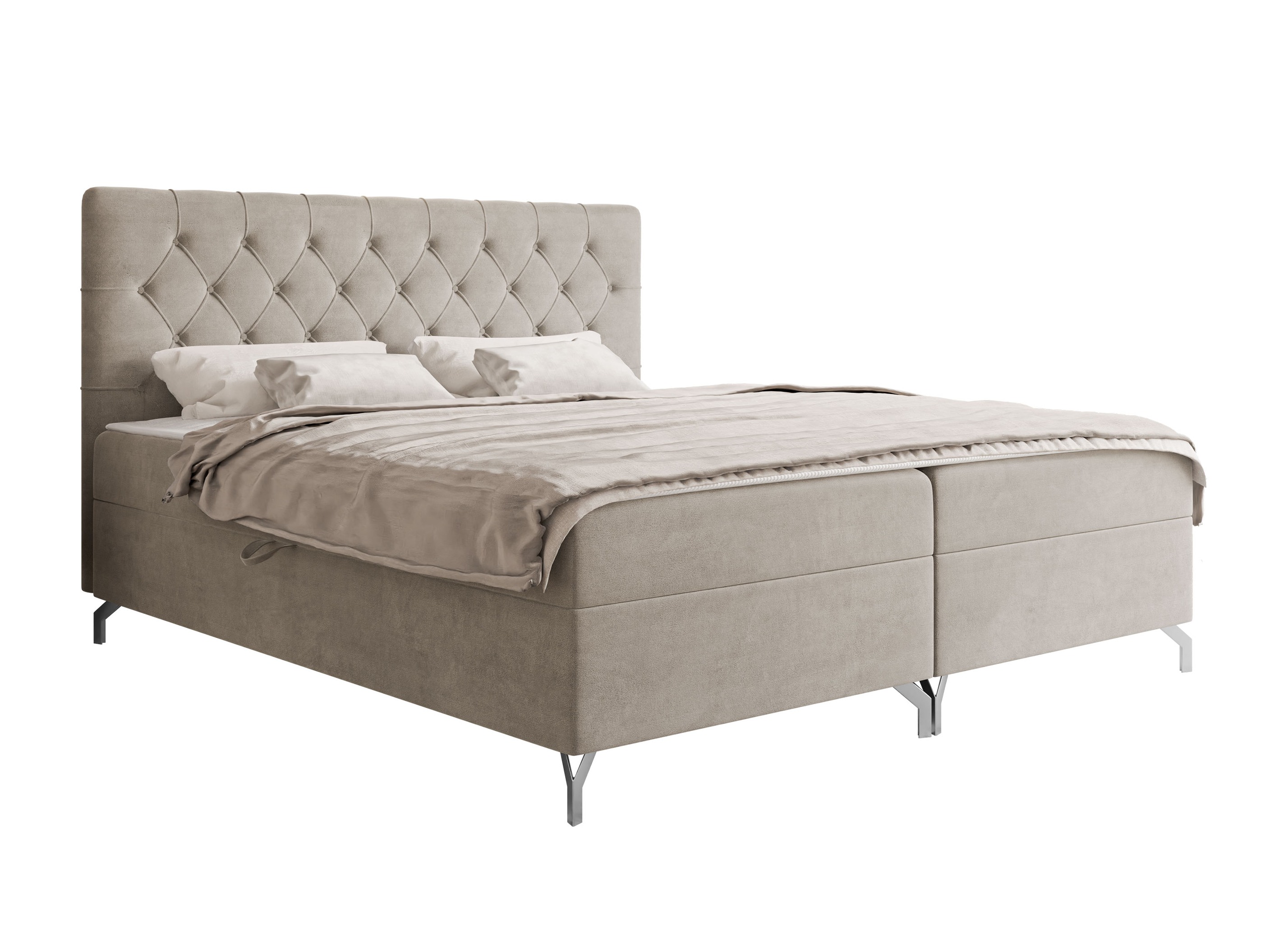 Continental lova Baltimore 204 (Fresh 01)