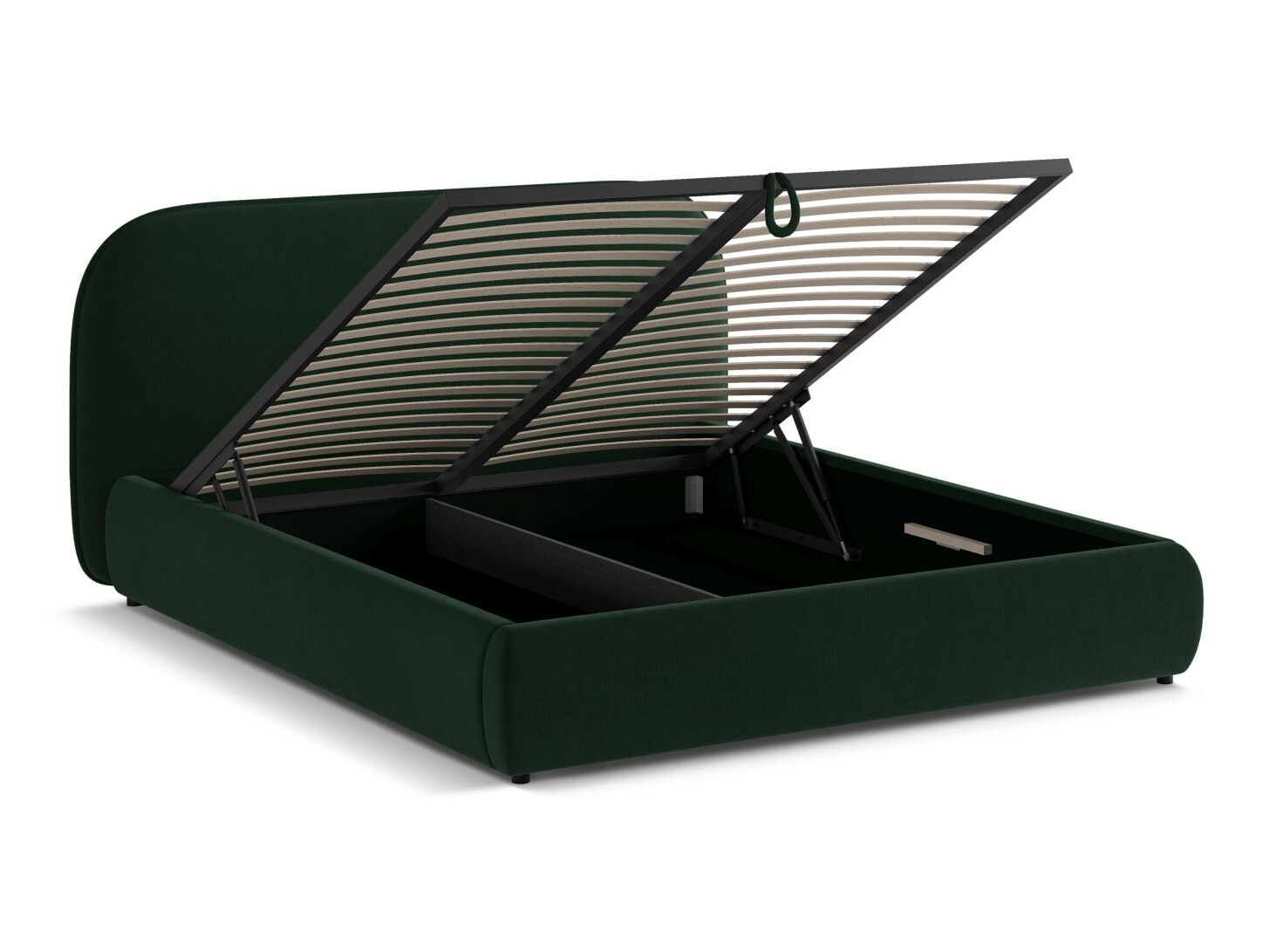 Lova Beckley 377 (Salvador 07)