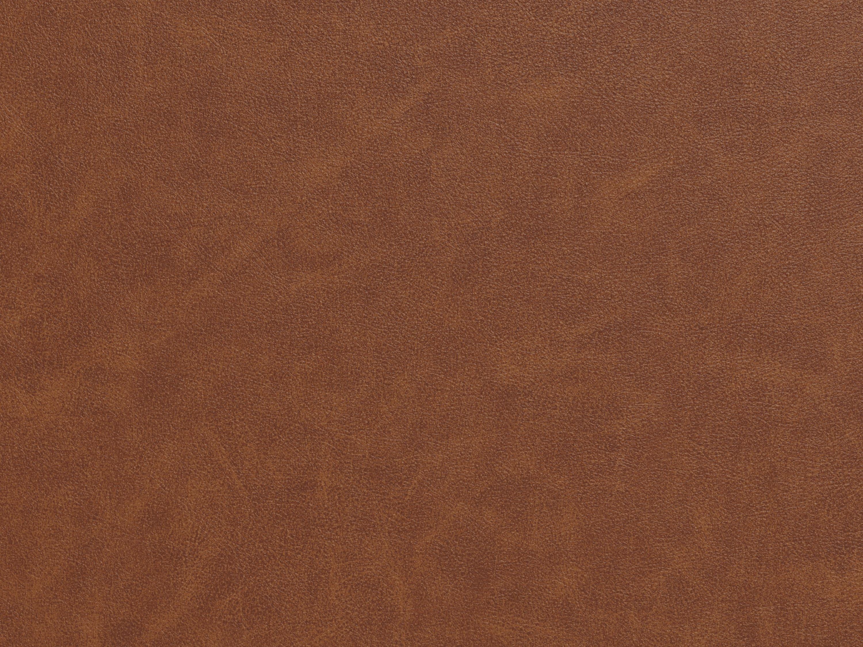 Biuro kėdė Norsica 881 (Ruda)