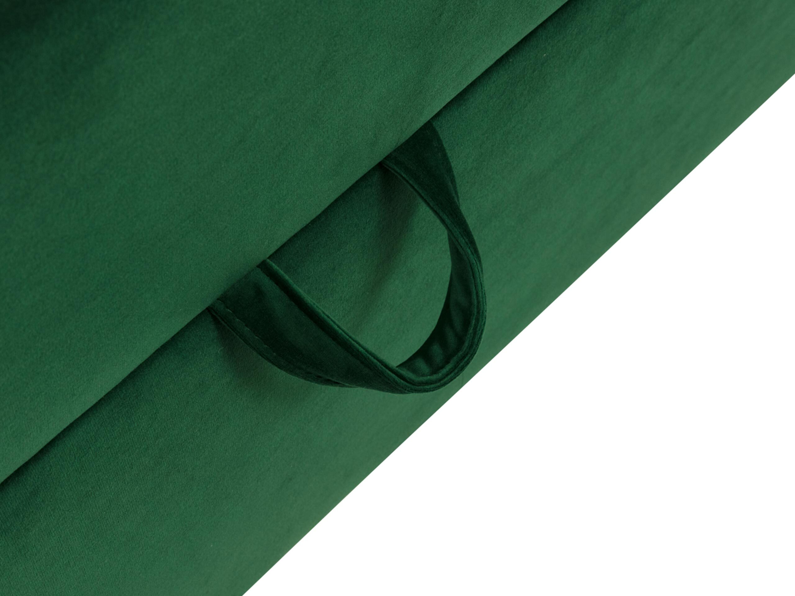 Continental lova Caseus (Magic Velvet 2201)