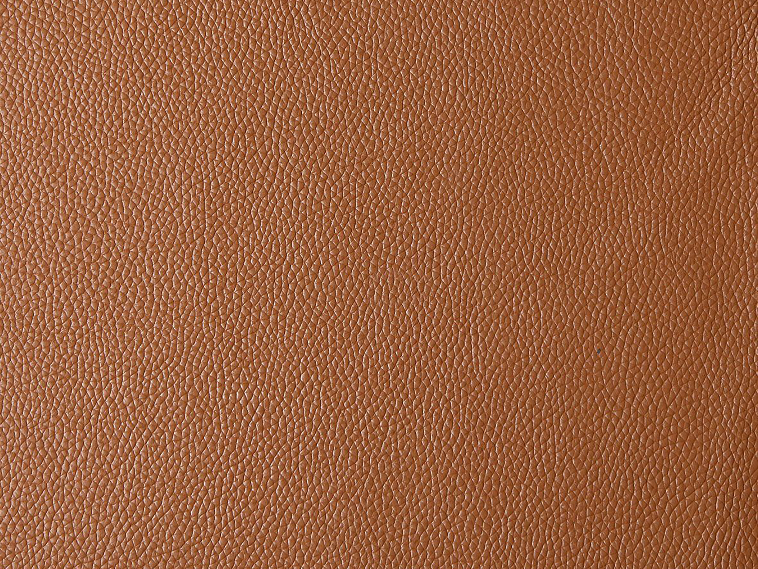 Sofa reglaineris Evamare 100 (Ruda)