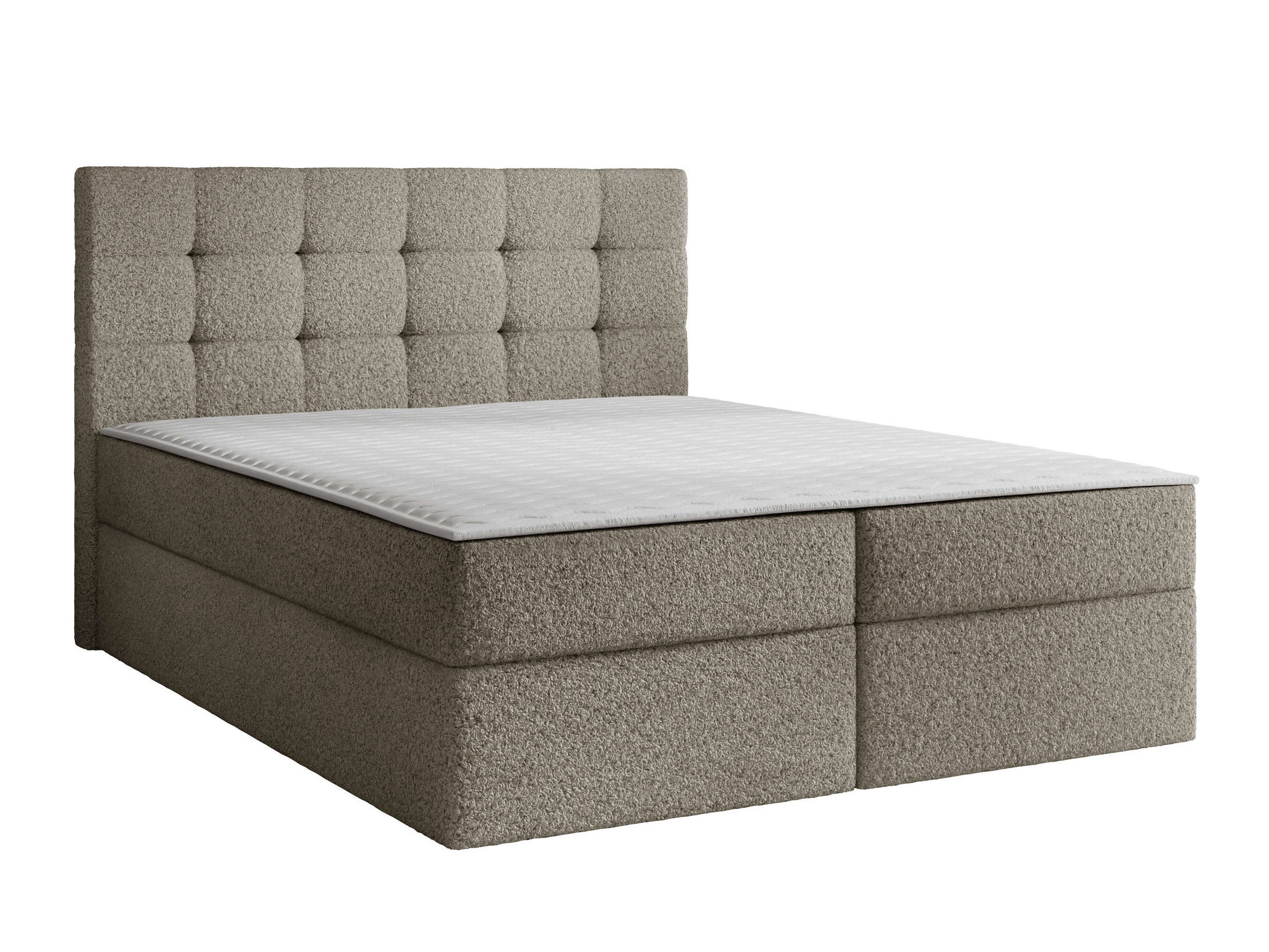 Continental lova Comfivo Osculum I (Lambi 03)