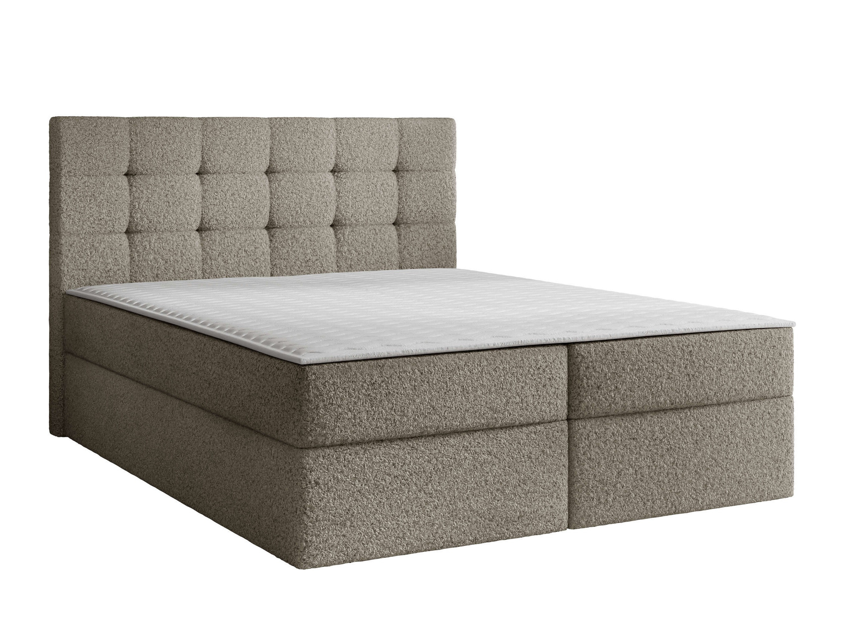 Continental lova Comfivo Osculum I (Lambi 03)