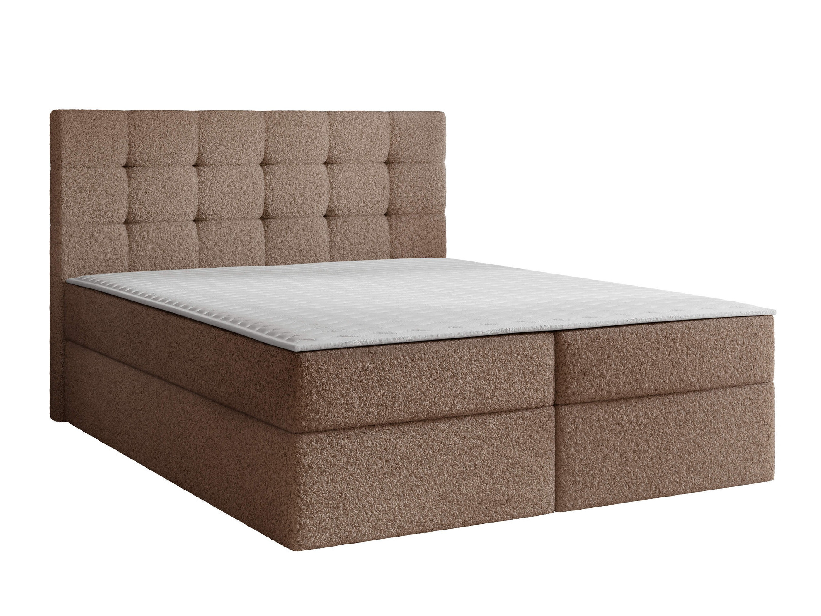 Continental lova Comfivo Osculum I (Lambi 04)