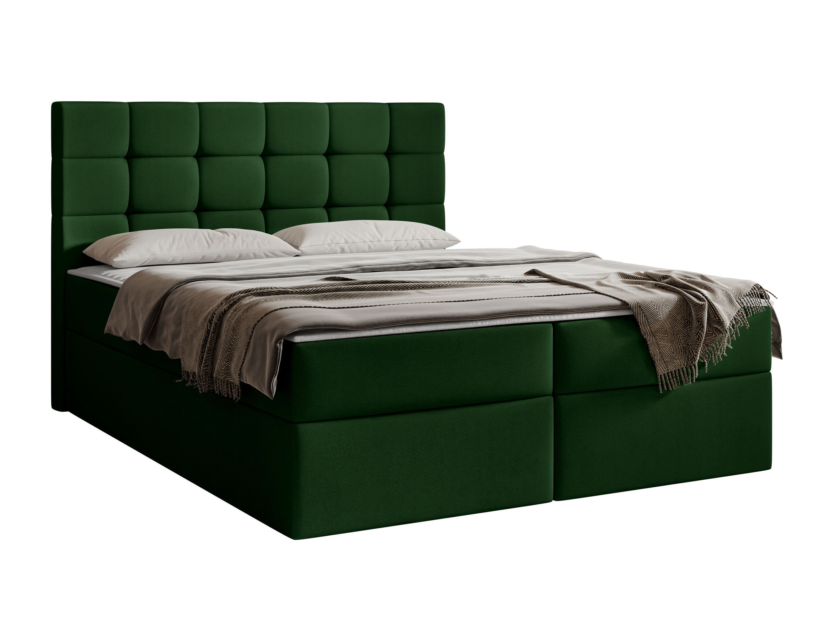 Continental lova Comfivo Osculum I (Polo 889)