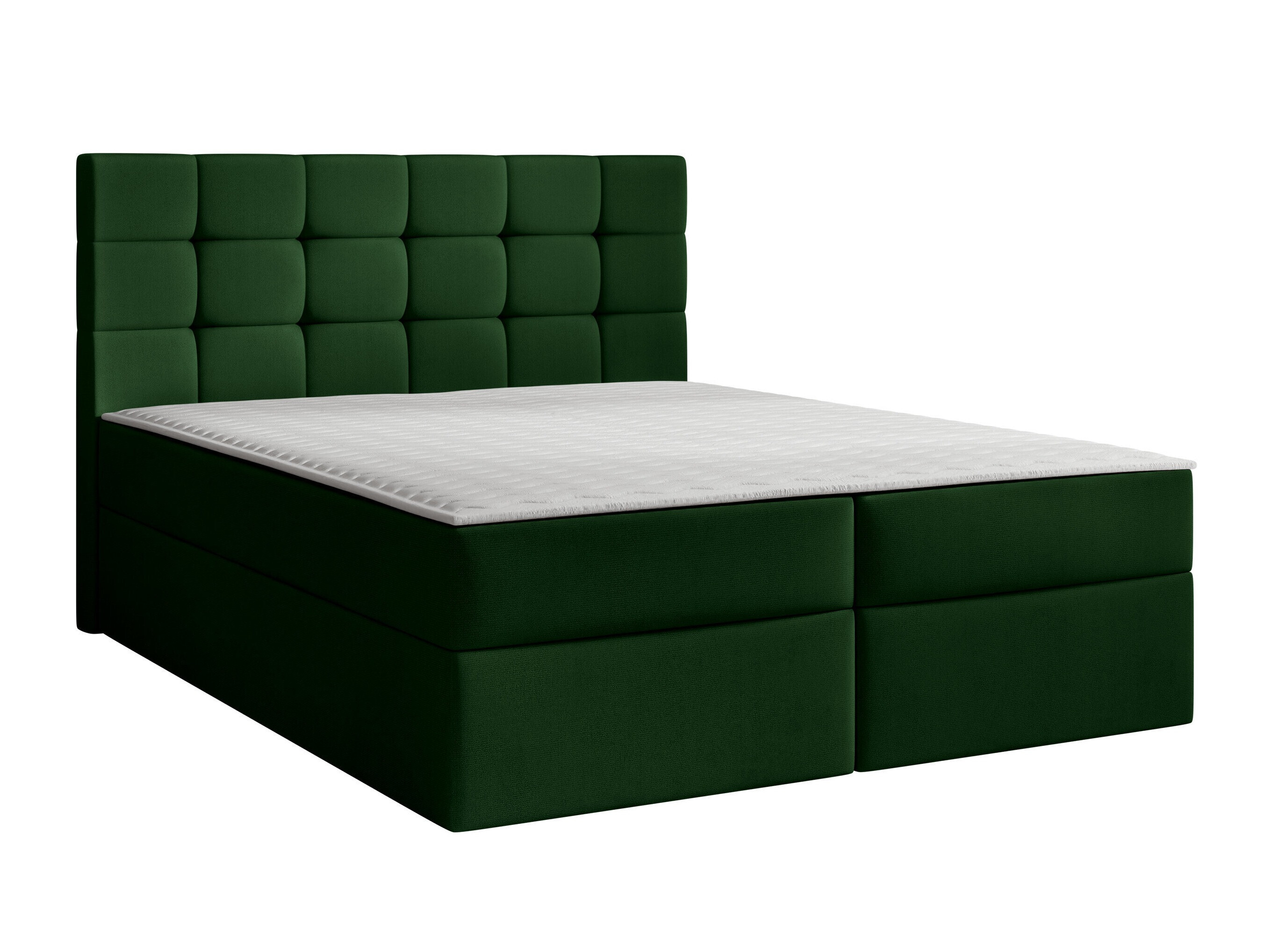Continental lova Comfivo Osculum I (Polo 889)