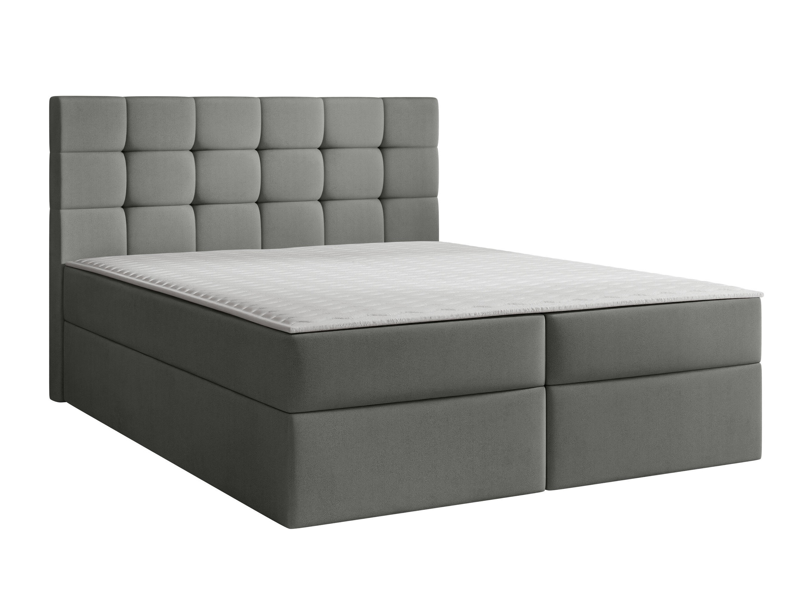 Continental lova Comfivo Osculum I (Polo 894)