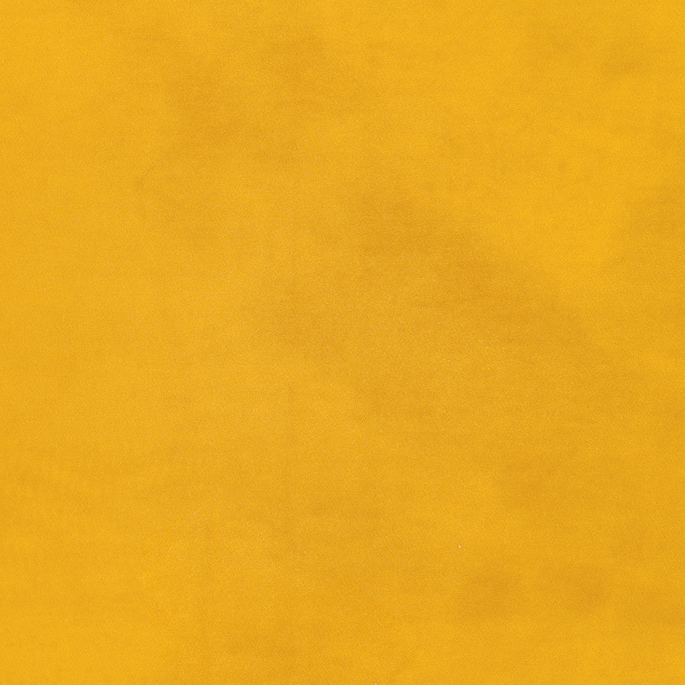 Kėdė Detroit 755 (Bluvel 68)