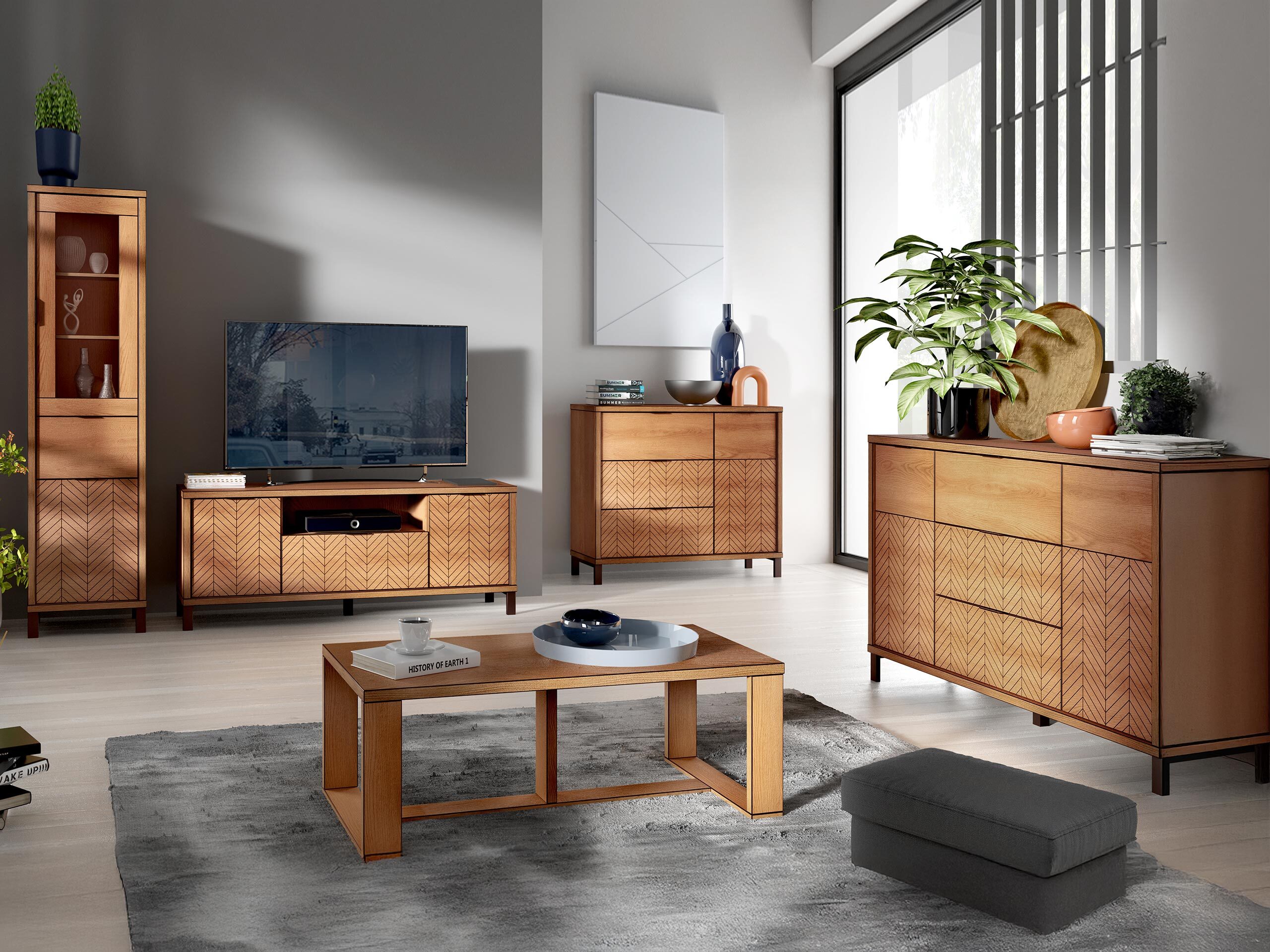 TV staliukas Lorsali 105